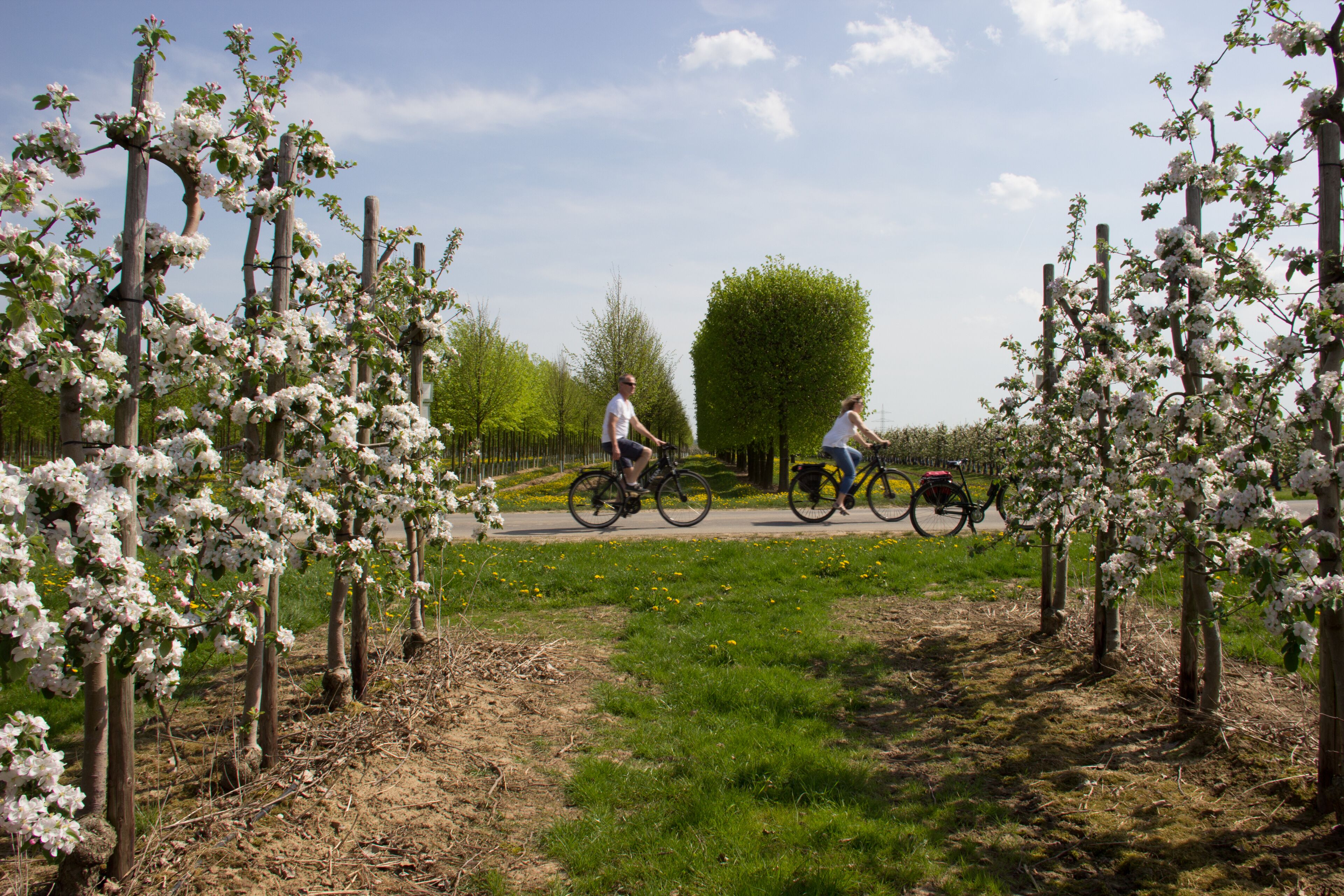 land view from property
