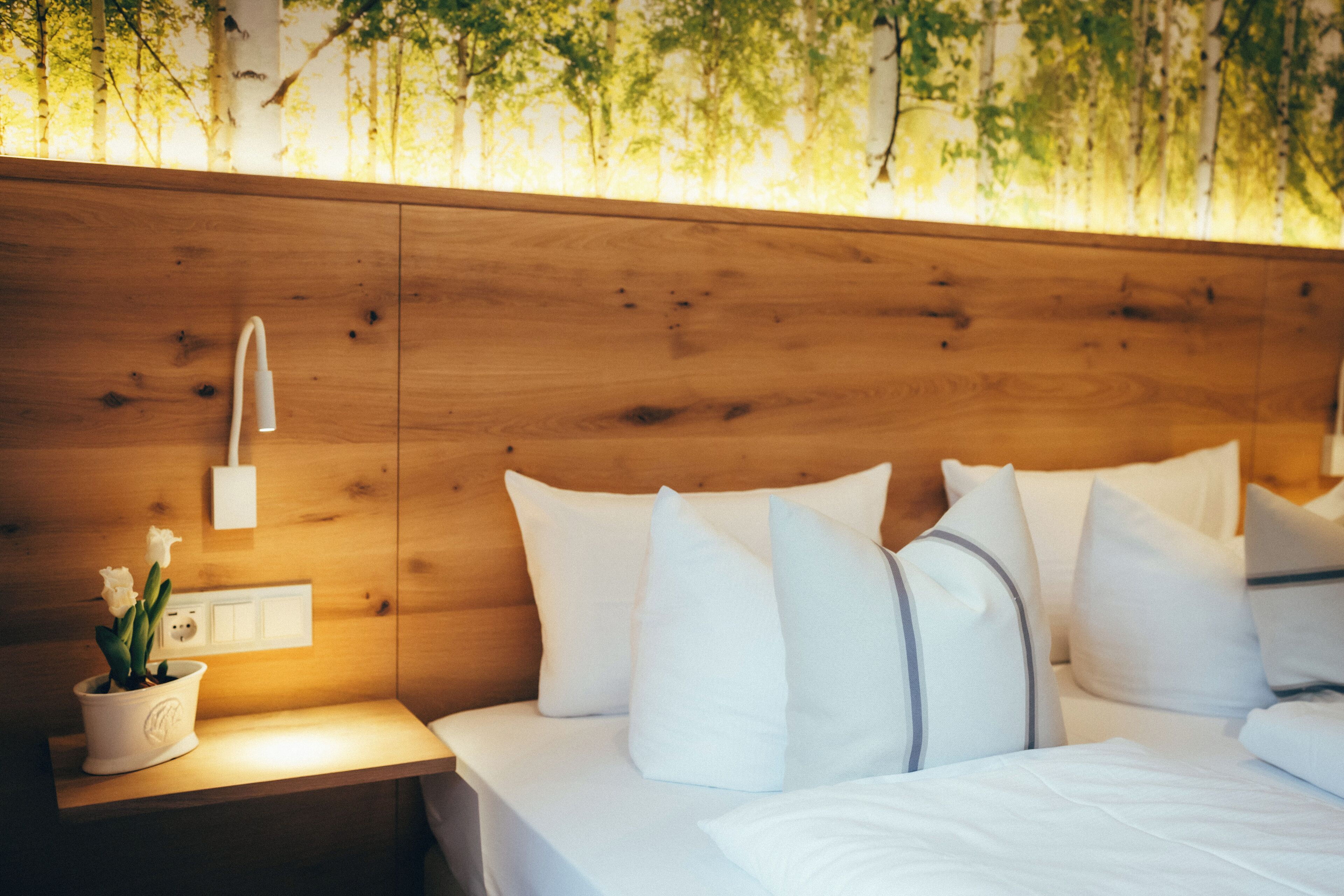 standard double room | 1 bedroom, hypo-allergenic bedding, in-room safe, desk