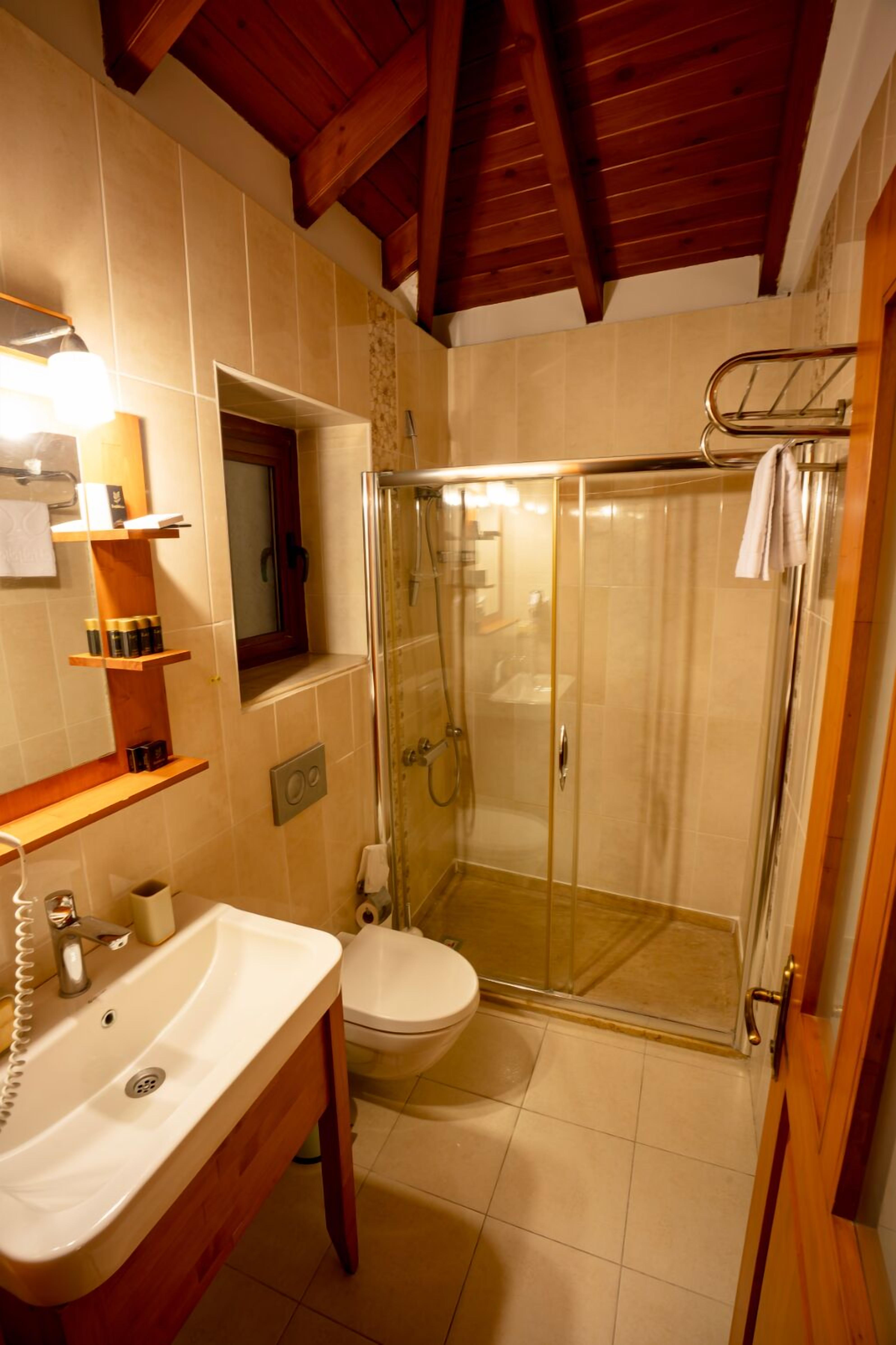 Deluxe Room | Bathroom | Shower, rainfall showerhead, free toiletries, hair dryer