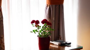 Een potplant met rode bloemen op een glazen tafel, dichtbij een raam met gordijnen.