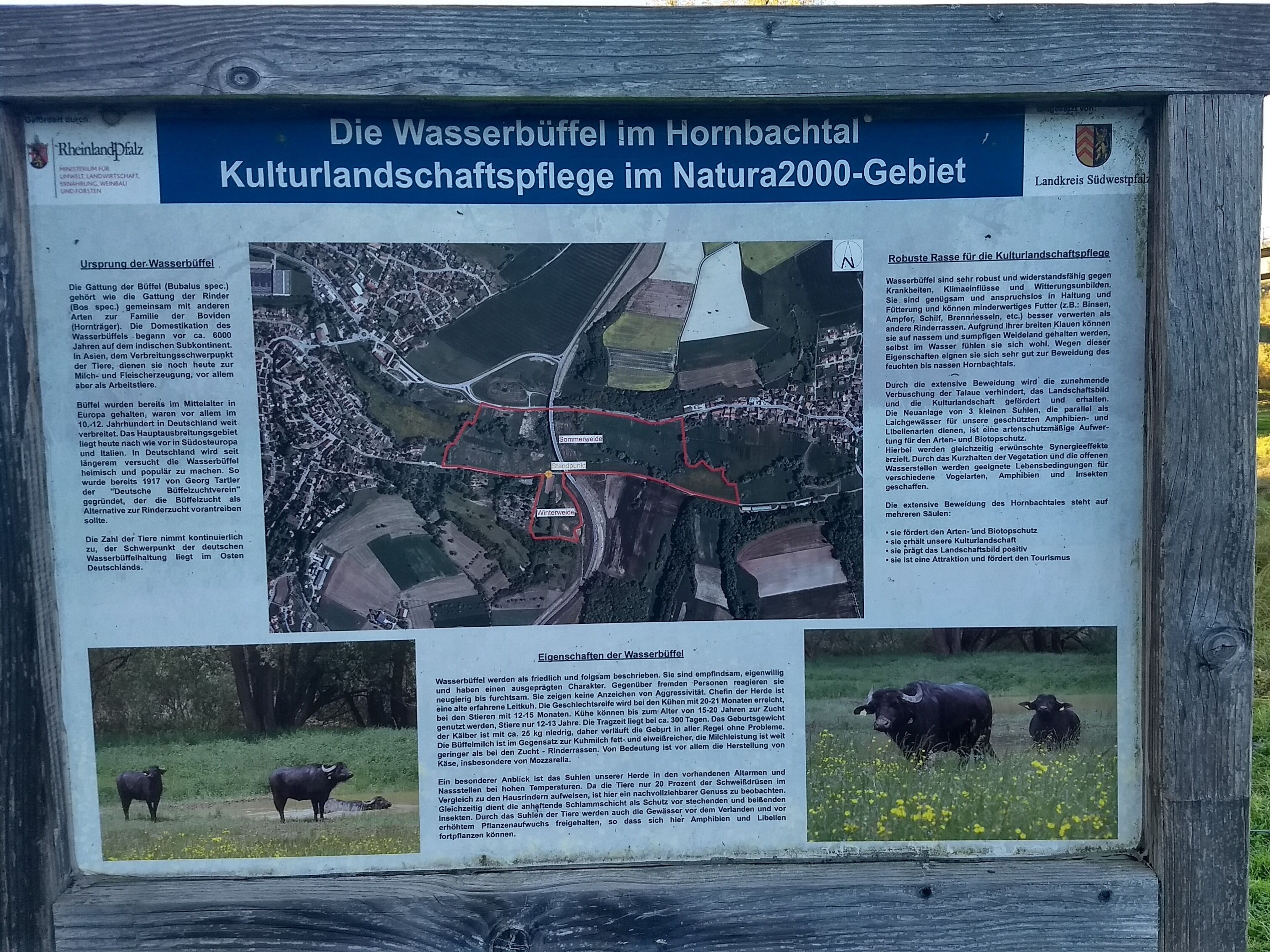Un cartel con información sobre un reservorio de agua en Hornbachal, incluyendo un mapa y texto sobre sus características y beneficios.