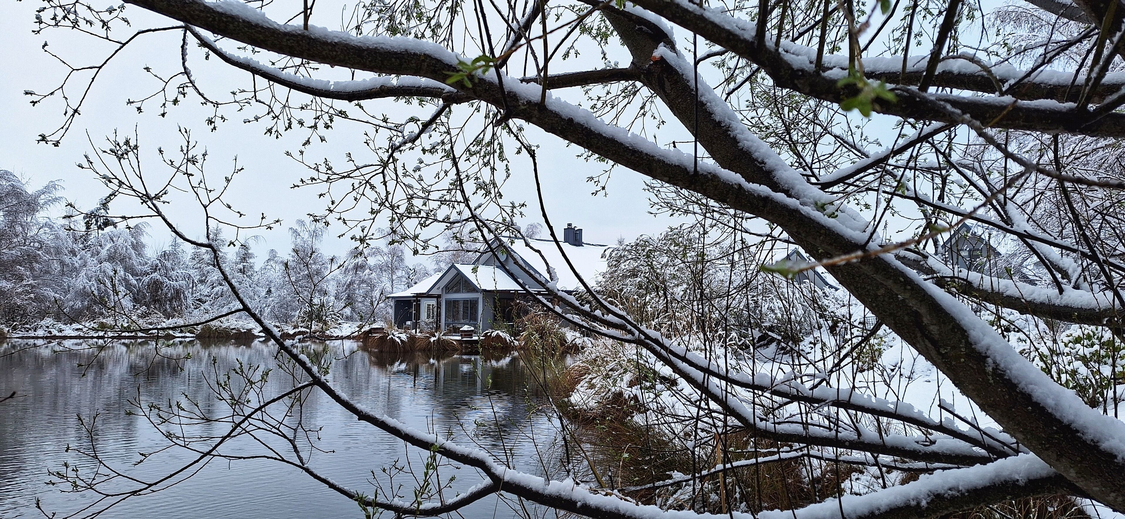 Lumipeitteisen järven rannalla sijaitseva talo, jonka edessä on paljaita puita ja oksia.