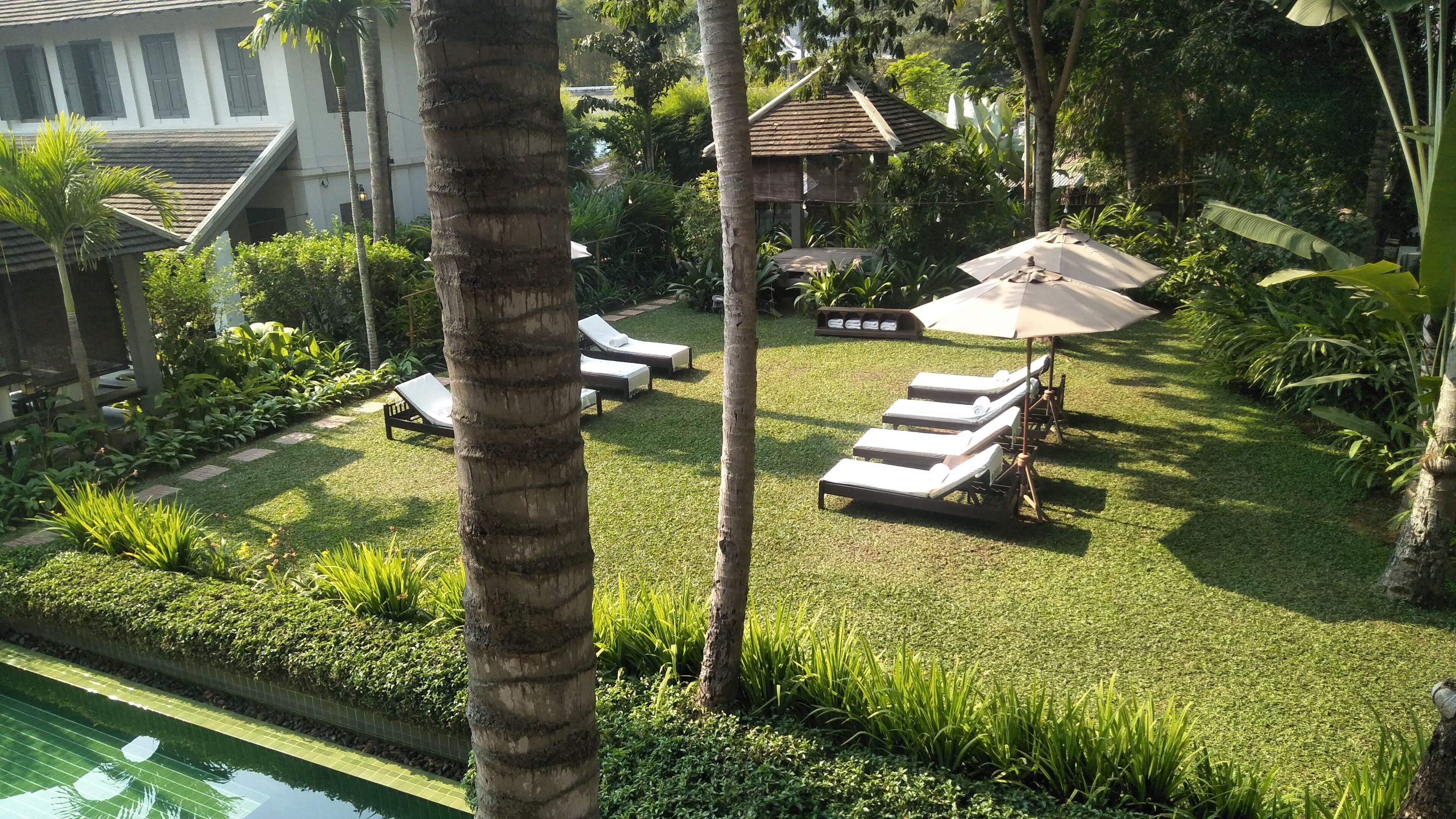 A poolside area with lounge chairs and umbrellas, surrounded by lush greenery and a tiled pool.