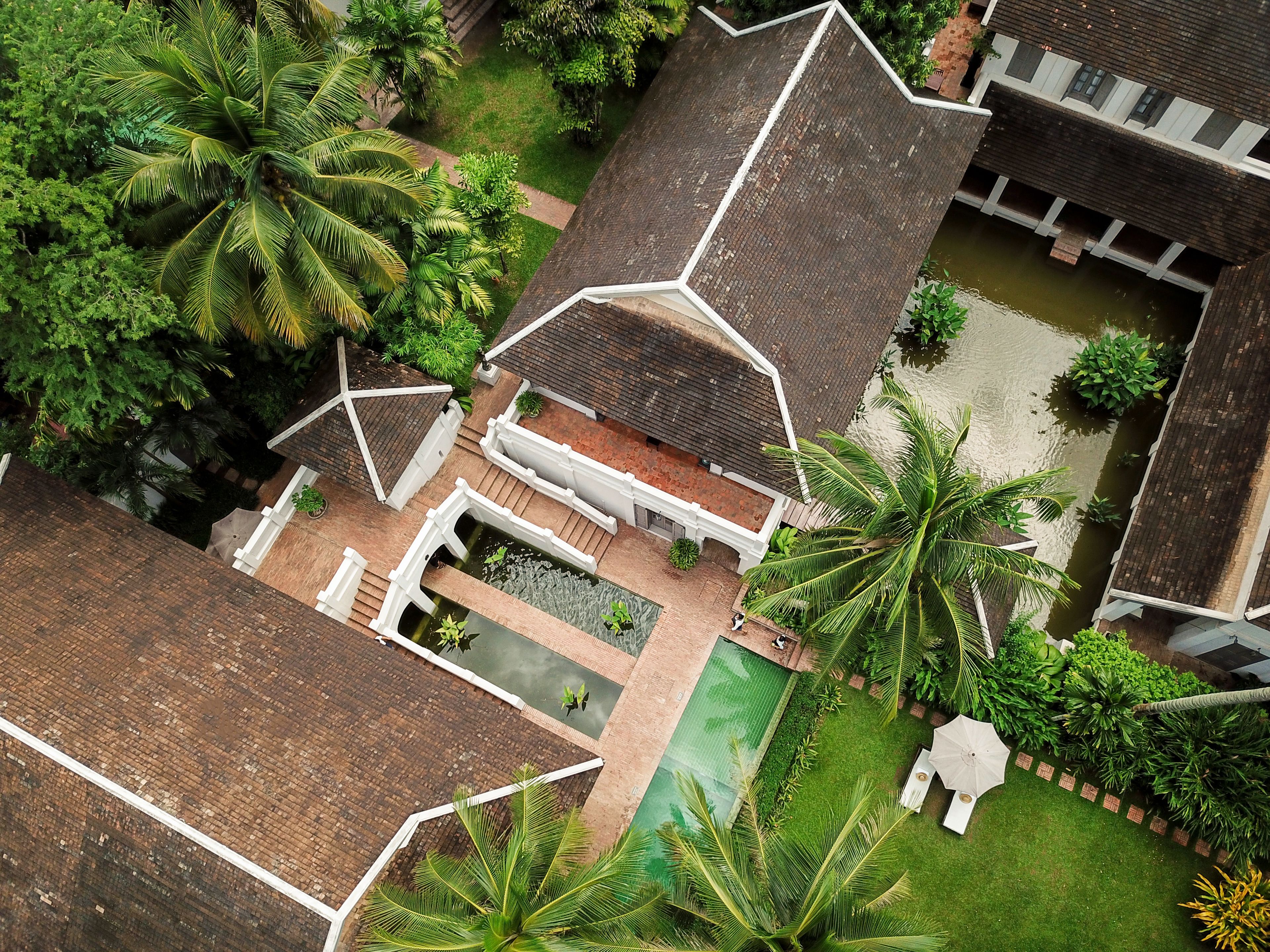 Vista aérea de una zona residencial con una casa de techo de tejas, una piscina y abundante vegetación, incluyendo palmeras.
