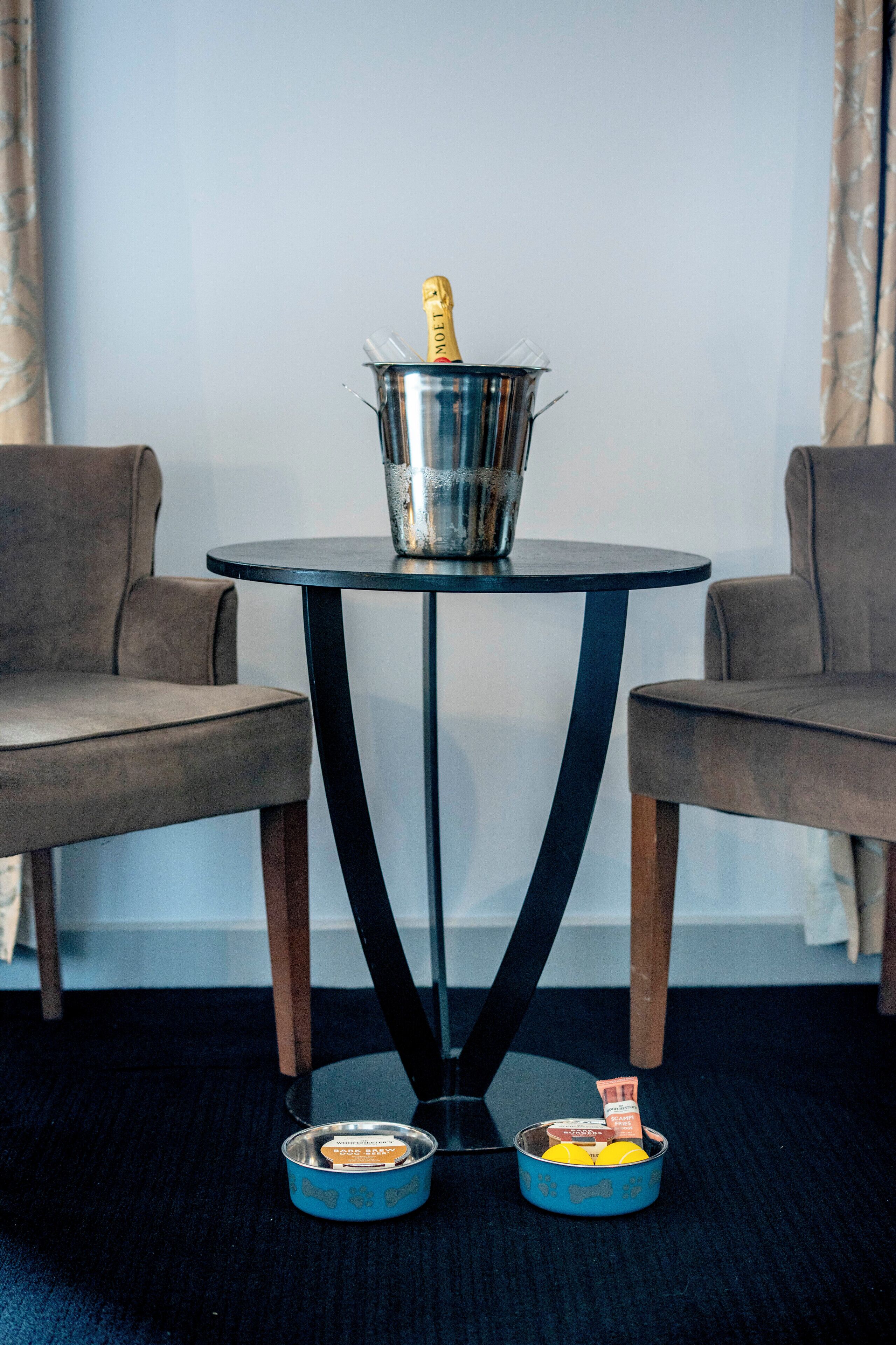 A room with a round table, two armchairs, a bucket with a bottle, and two bowls with dog treats.
