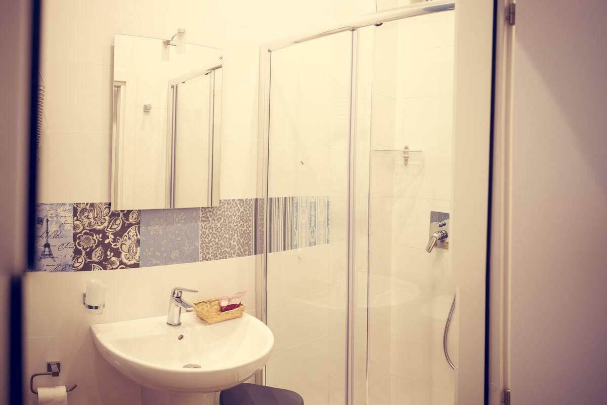 shower, free toiletries, hair dryer, bidet