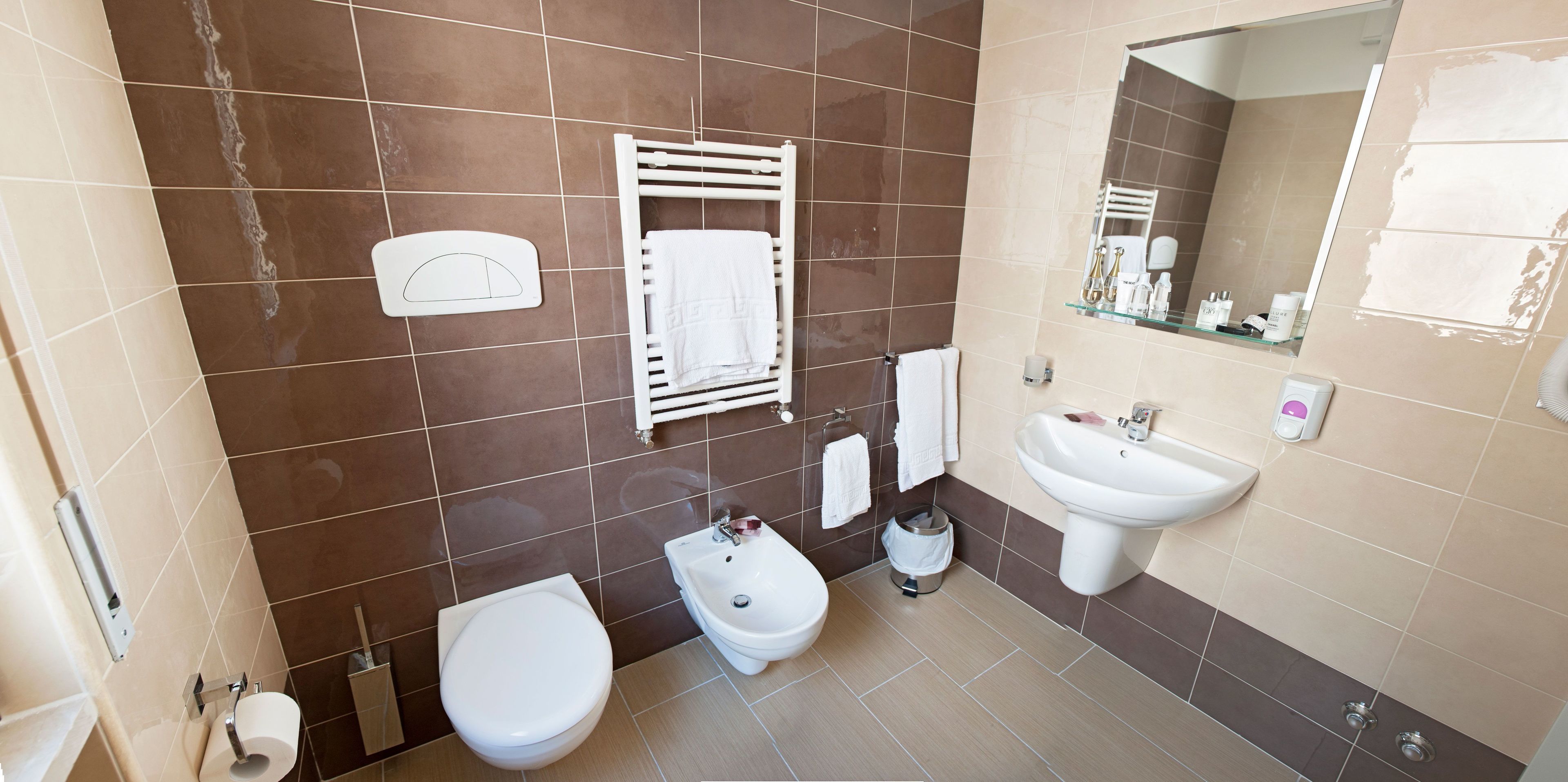 shower, free toiletries, hair dryer, bidet