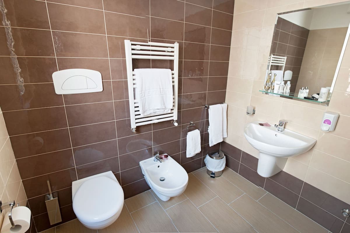 shower, free toiletries, hair dryer, bidet