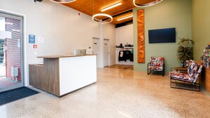 A reception area with a wooden reception desk, a flat-screen TV mounted on the wall, and two patterned chairs. - Haka House Rotorua (Rotorua)
