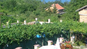 View from room - Hotel Poseidon (Aksakovo)