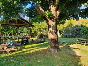 A tree in a park with picnic tables and a covered area. - Off The Beaten Trail Accommodation & Bike Tours (Murchison)