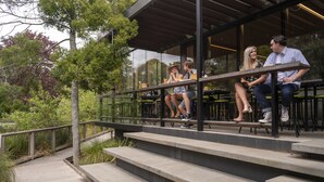 A covered outdoor seating area with steps leading up to it, surrounded by greenery. - YHA Nelson - Backpackers (Nelson)