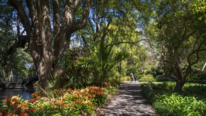 A pathway flanked by lush greenery and flowering plants, leading to a bridge over a body of water. - YHA Nelson - Backpackers (Nelson)