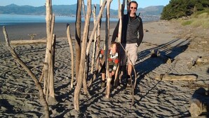 A beach scene with driftwood arranged in a circle, a person standing behind it, and a child in a striped shirt. - YHA Nelson - Backpackers (Nelson)