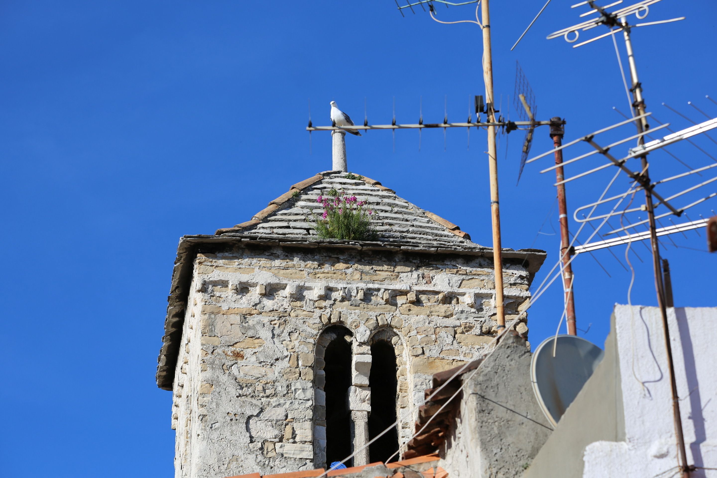 Photo - Malena Palace Experience