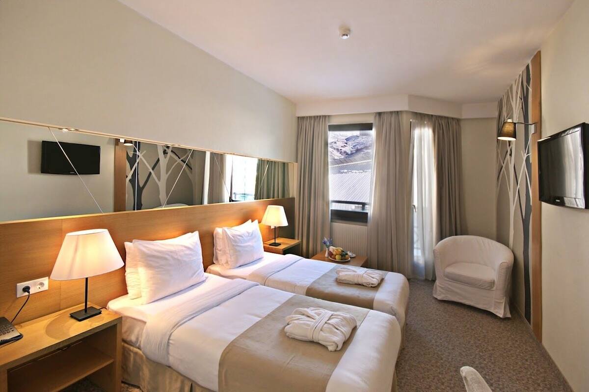 Habitación de hotel con dos camas, un escritorio, una silla, un televisor y una ventana con cortinas.