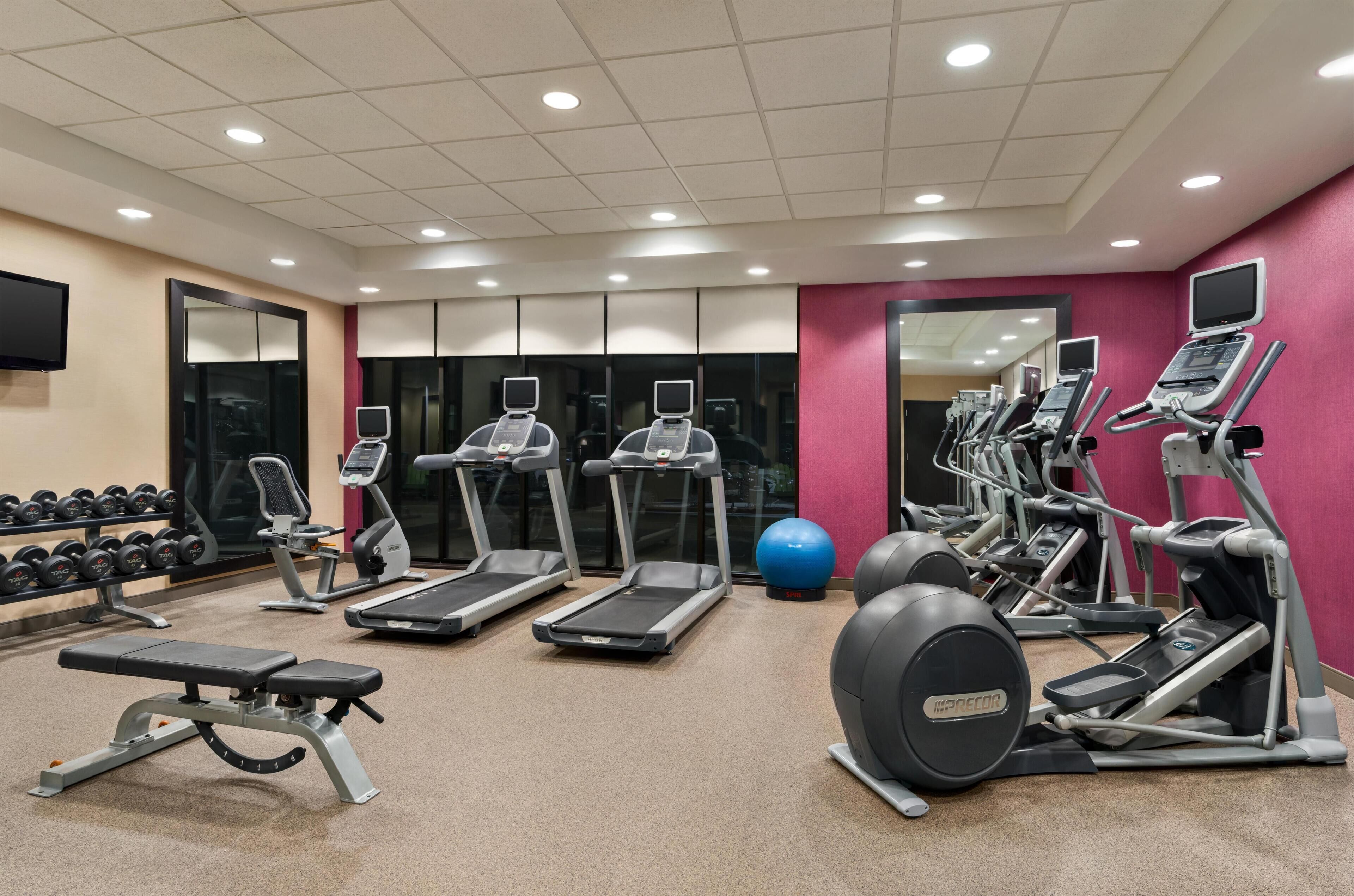A gym with treadmills, elliptical machines, a bench, and dumbbells.