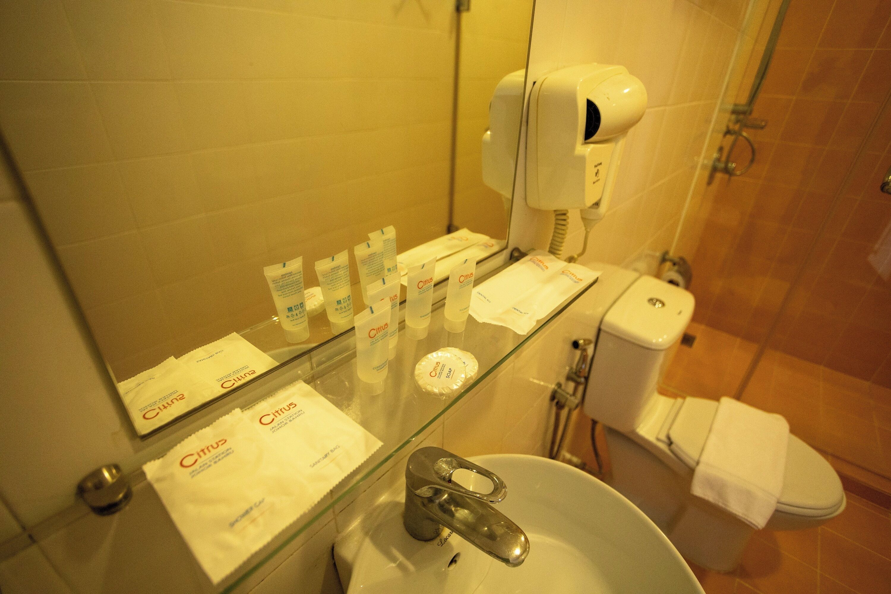 Un baño con mampara de vidrio, artículos de aseo, secador de pelo y un inodoro.