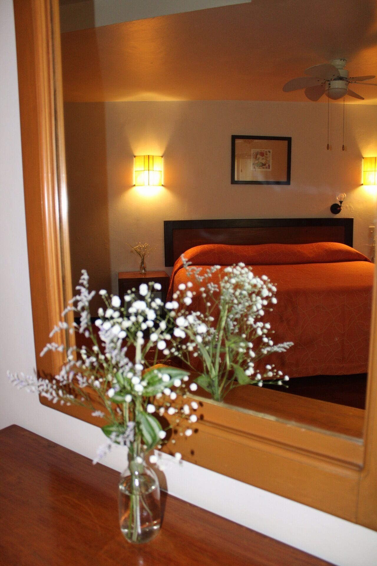 Foto - Hotel Ilebal Cuernavaca Centro - lugar con encanto!