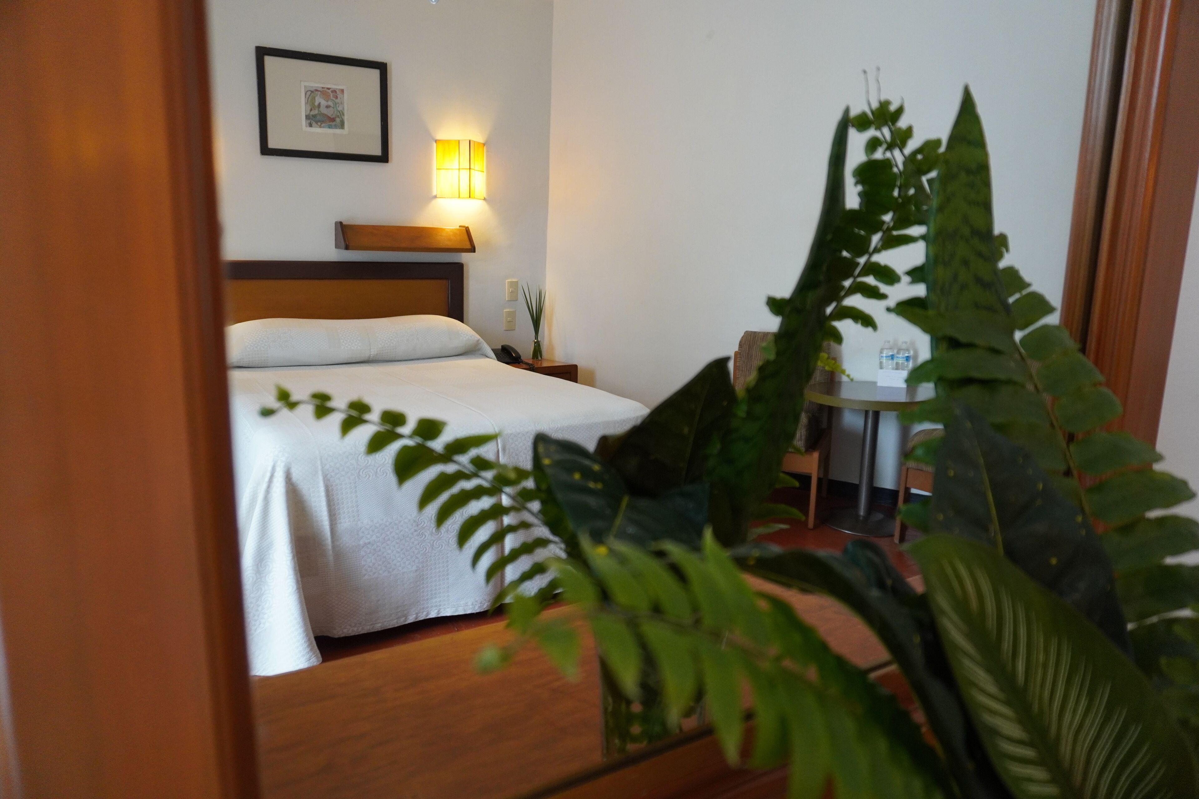 Quarto de hotel com cama, mesa de cabeceira, abajur, quadro emoldurado e planta em vaso.
