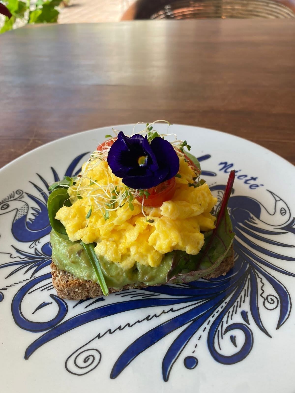 Ein Teller mit einem Sandwich, belegt mit Avocado, Rührei und einer Blume.