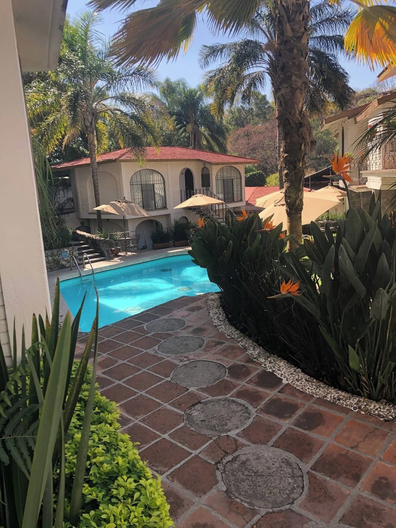 Piscina externa, funciona das 9h às 19h, espreguiçadeiras