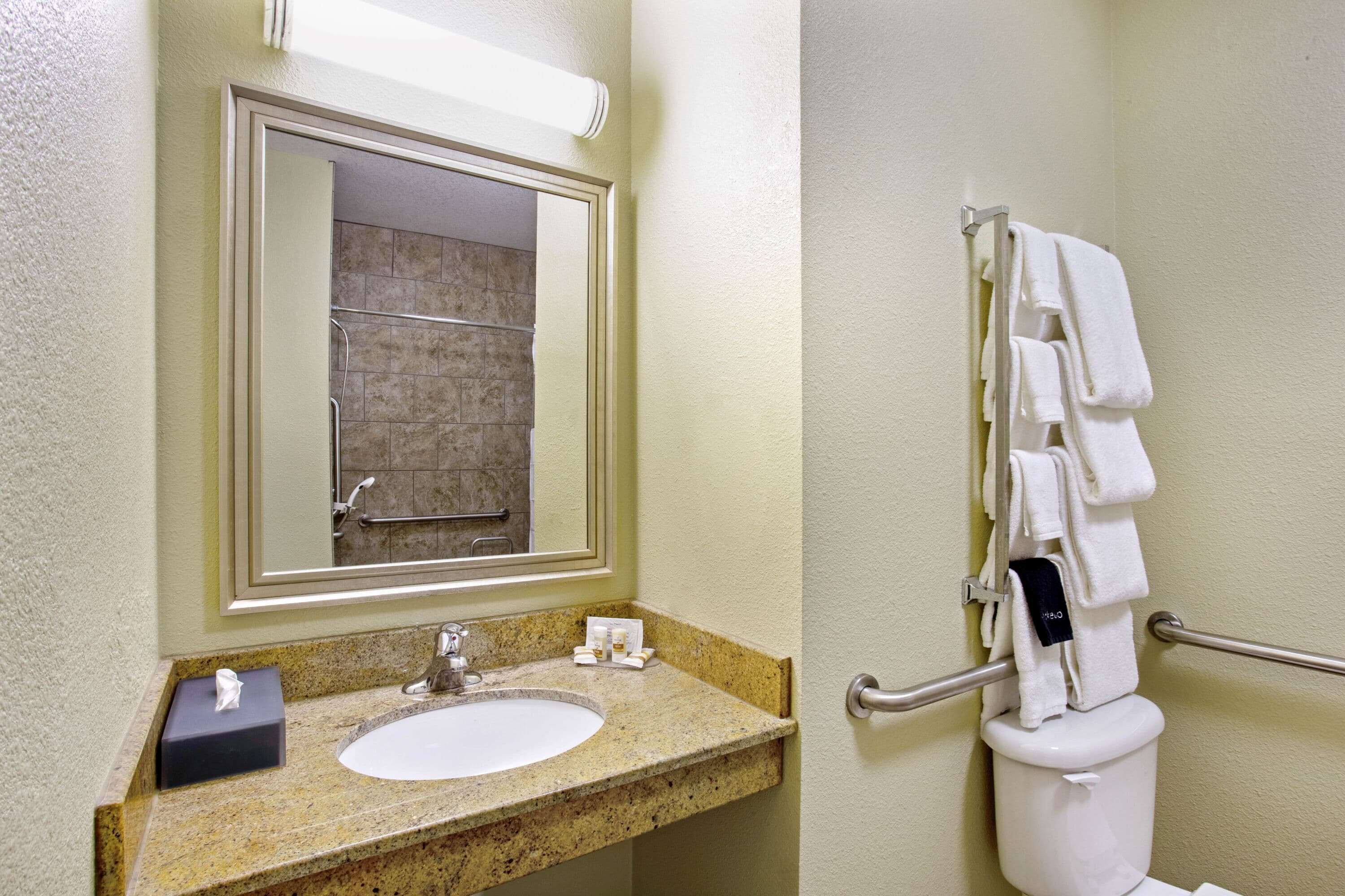 combined shower/bathtub, free toiletries, hair dryer, towels