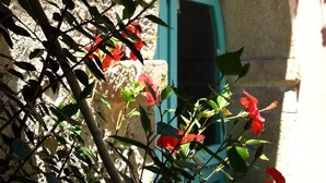 A stone building with a blue window and a red flower in the foreground.