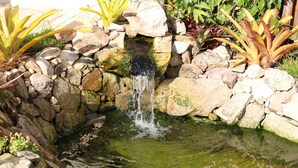 Une petite cascade dans un jardin, avec des rochers et des plantes.