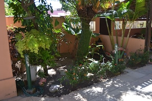 Jardim