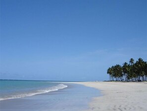 Private beach nearby - Pousada Porto Tropical (Ipojuca)