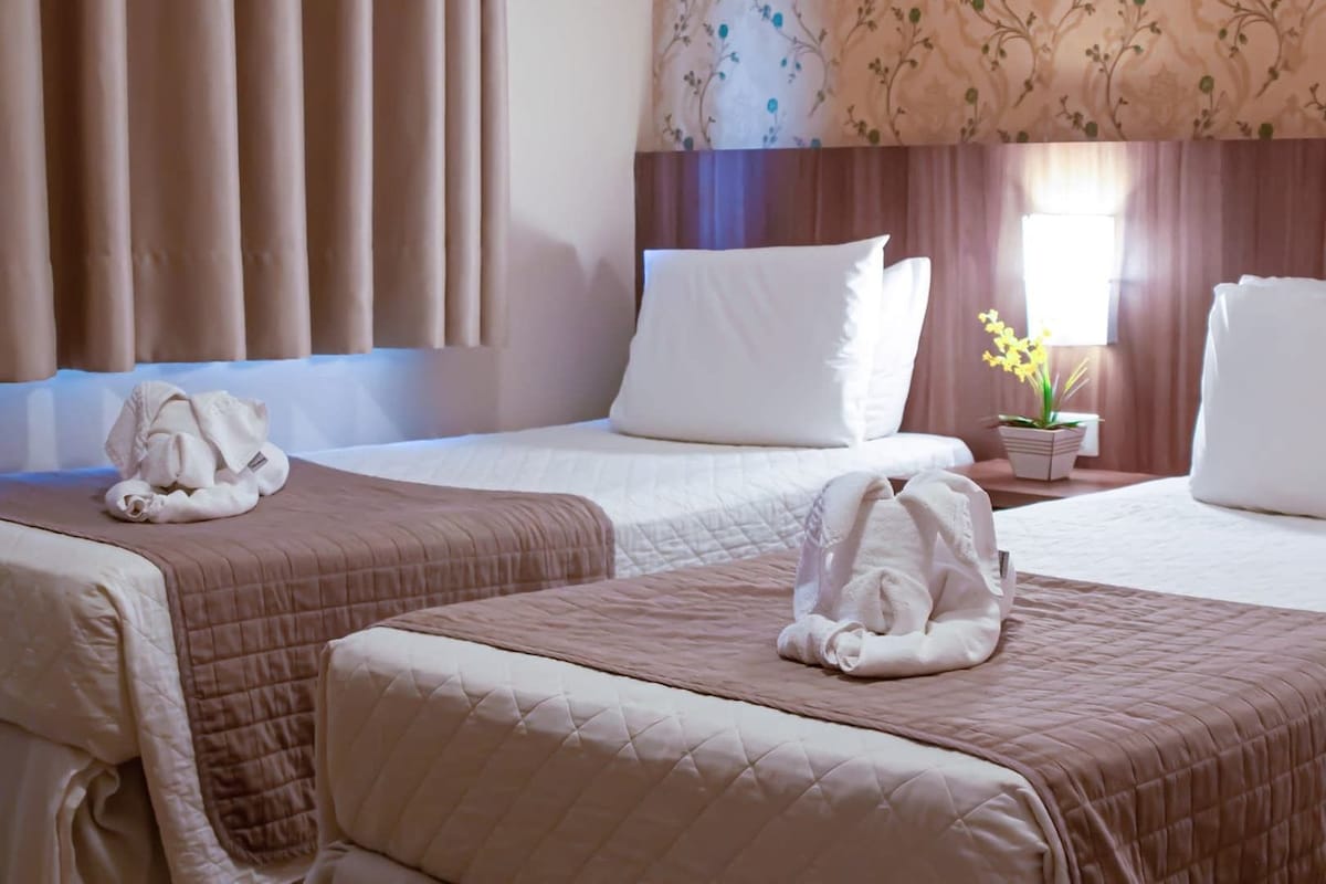 A hotel room with two beds, each with a white duvet and pillows, and a small table with a potted plant.