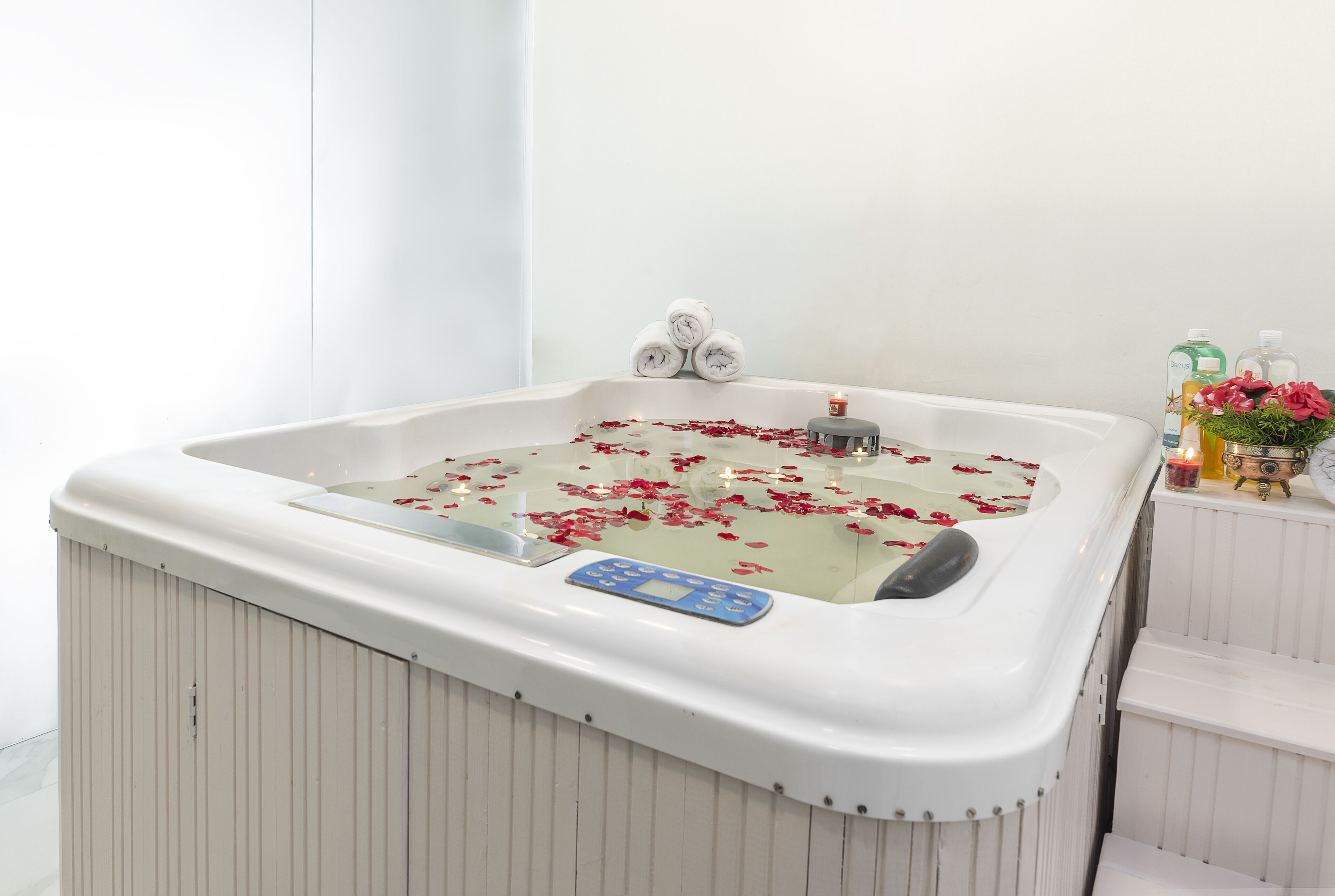 body treatments, aromatherapy, facials, ayurvedic treatments