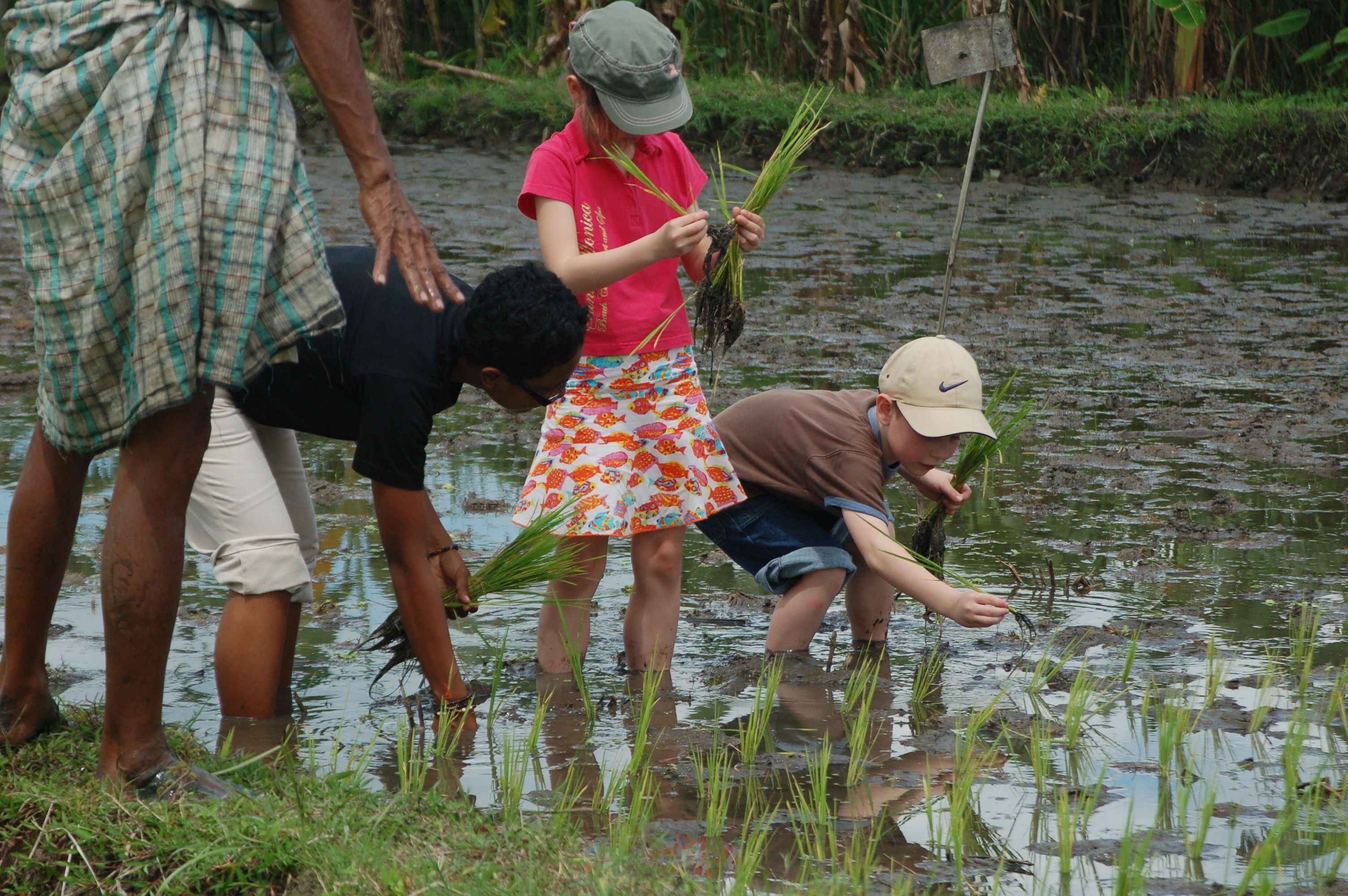 children’s activities