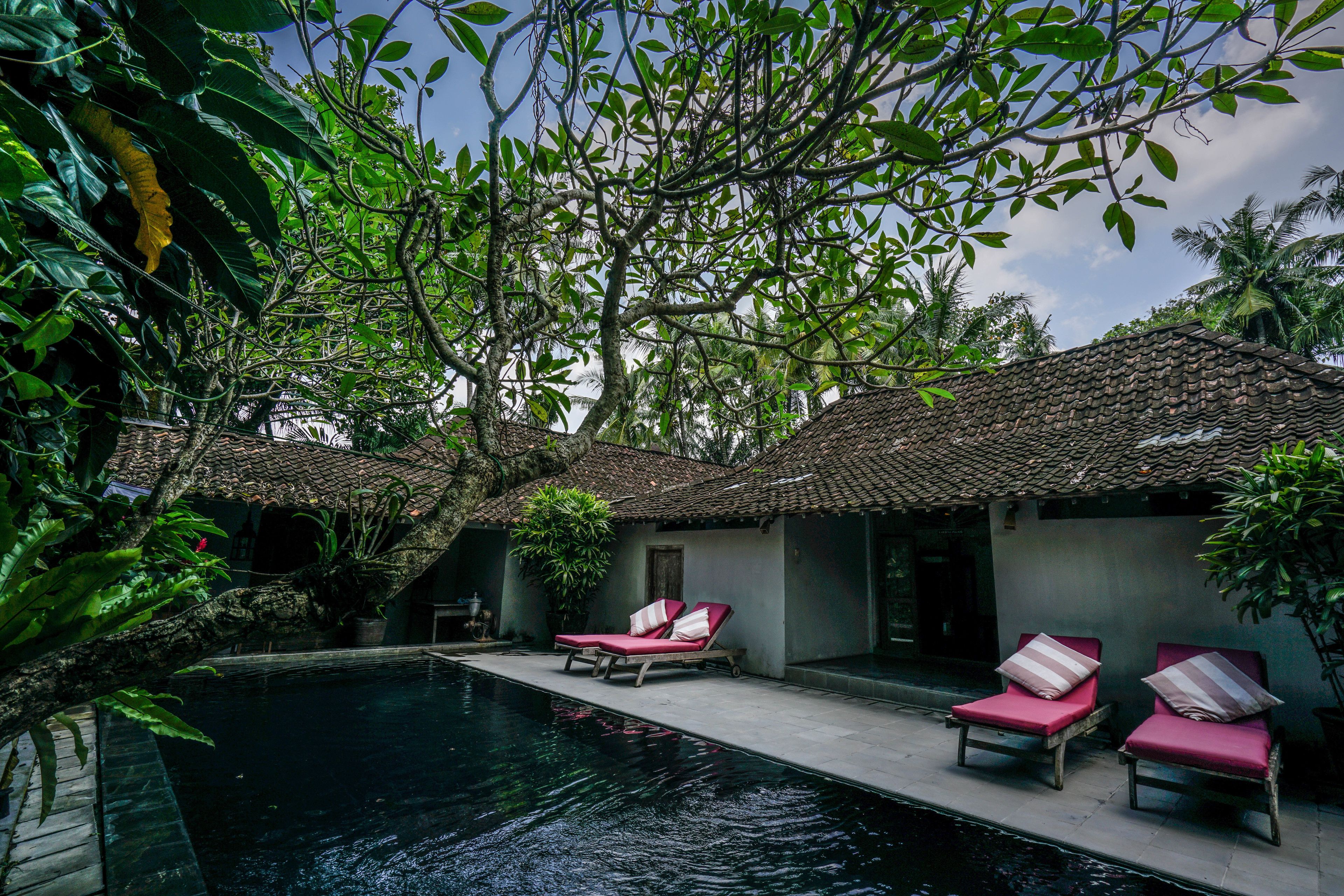 3 outdoor pools, pool loungers