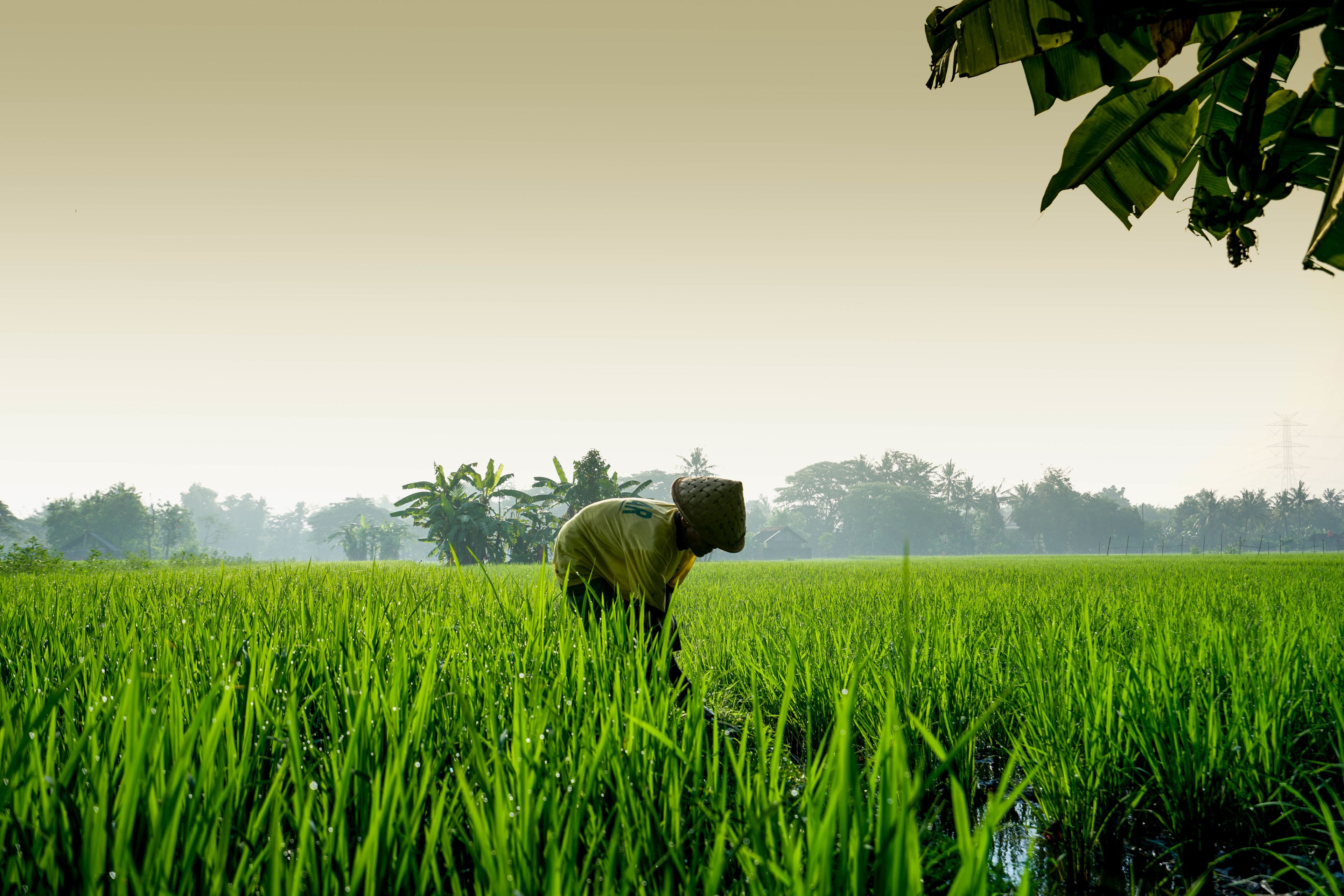 2 bedroom resort villa | view from room