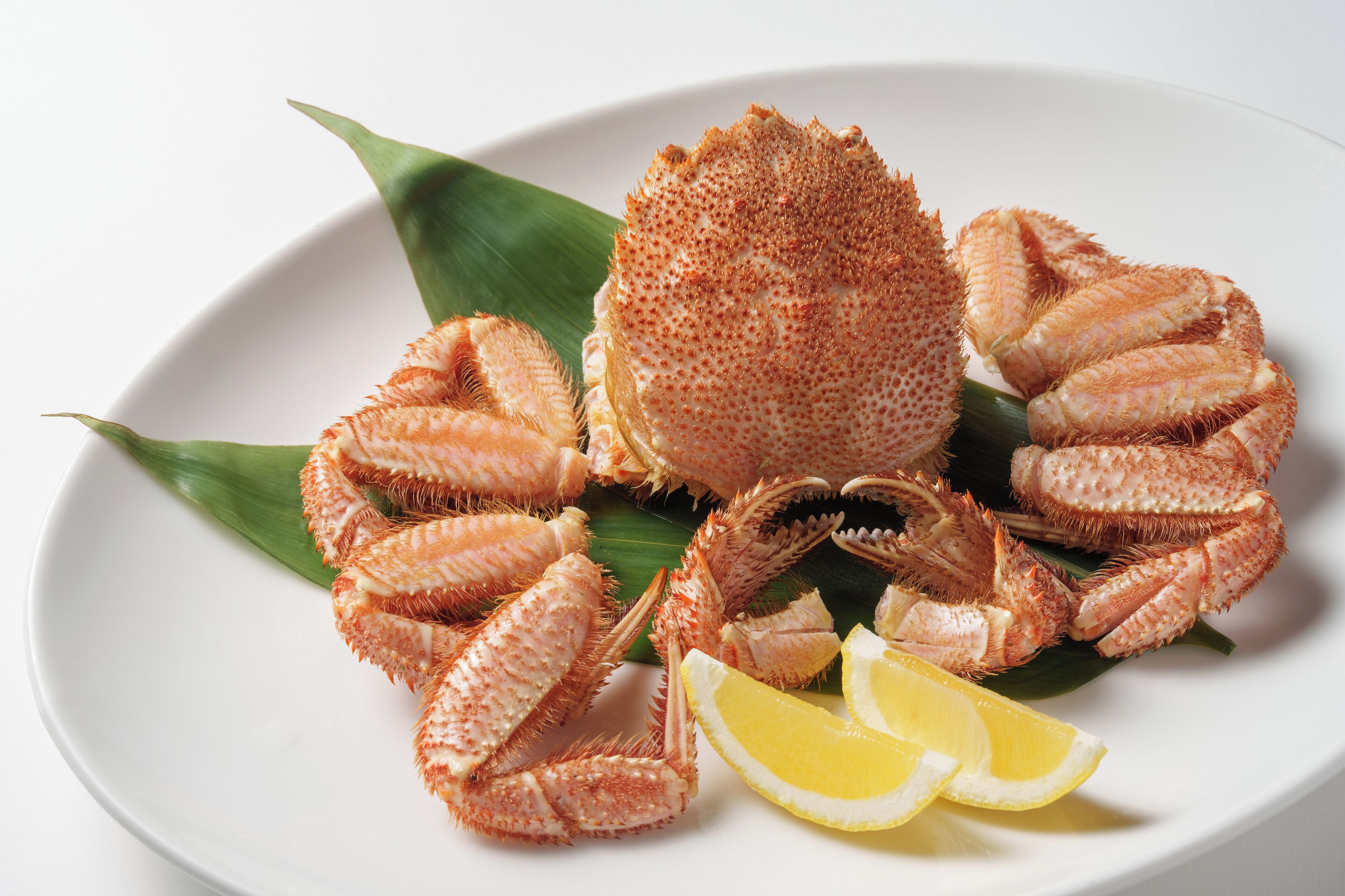 A plate with a crab and lemon slices.