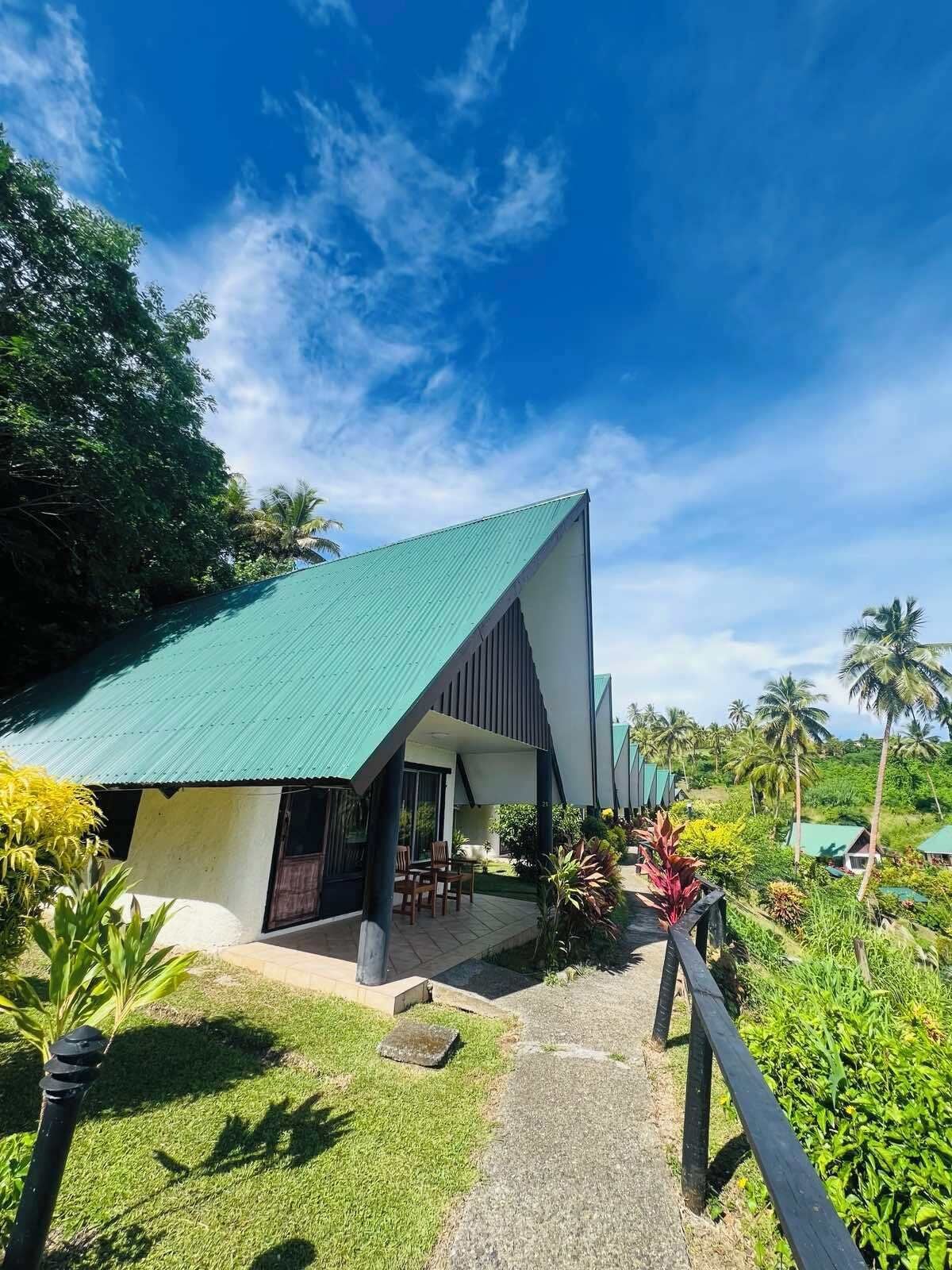 A modern building with a green roof, surrounded by lush greenery and palm trees.