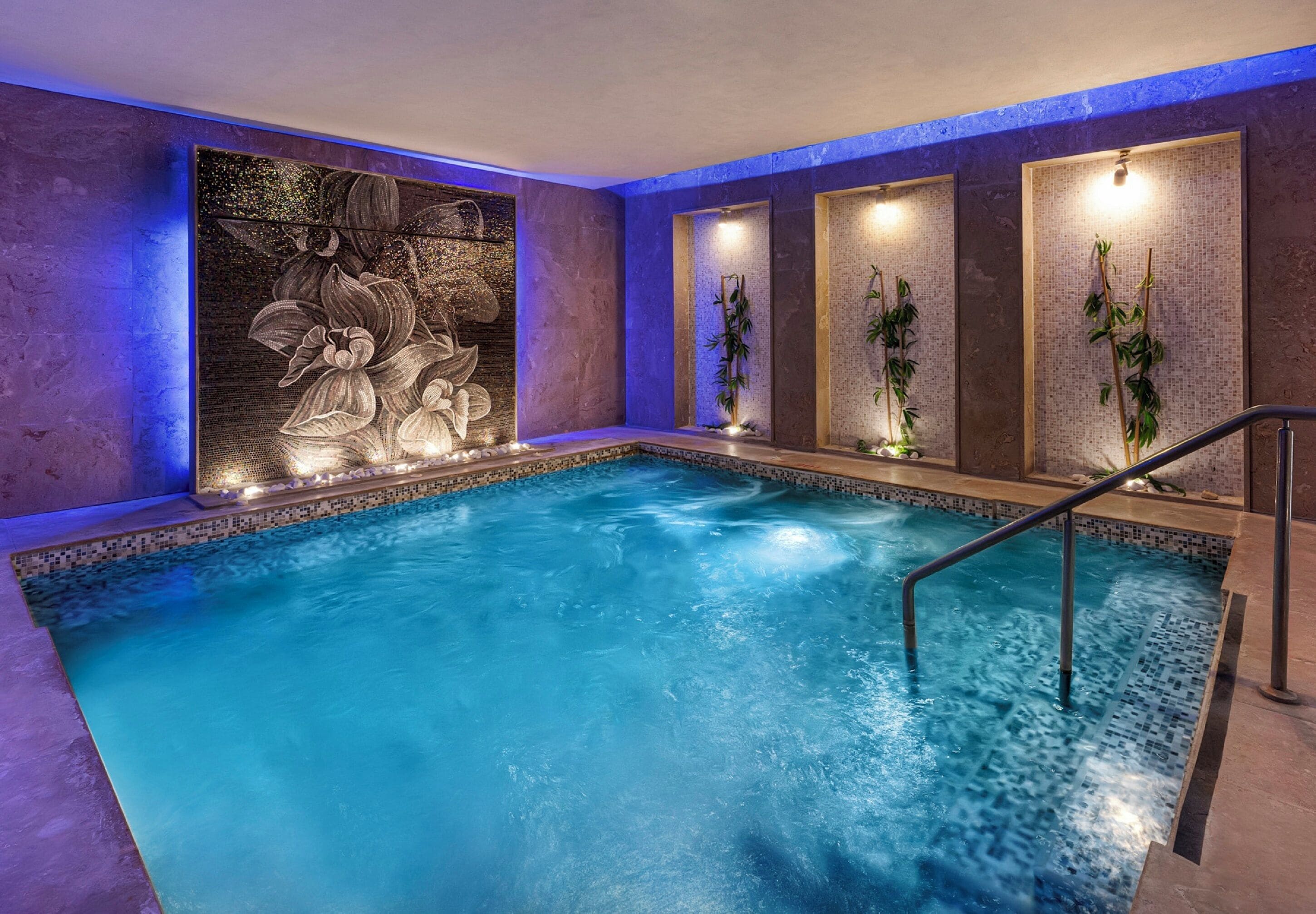 A swimming pool with a mosaic wall and plants.