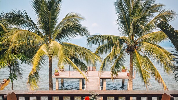 A dining table set with plates, a coconut, and a drink, overlooking a body of water with palm trees. - Vedana Lagoon Resort and Spa (Hue)