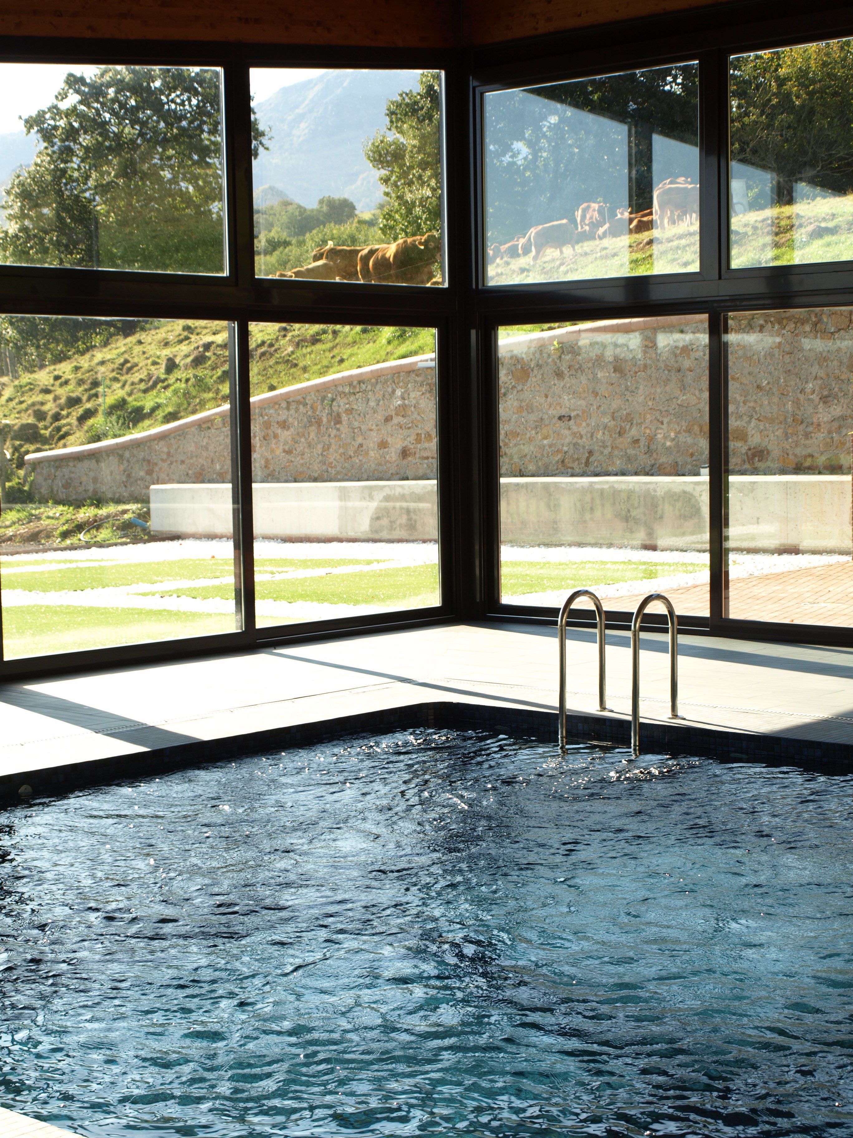 Una piscina con vistas a ganado pastando al exterior.
