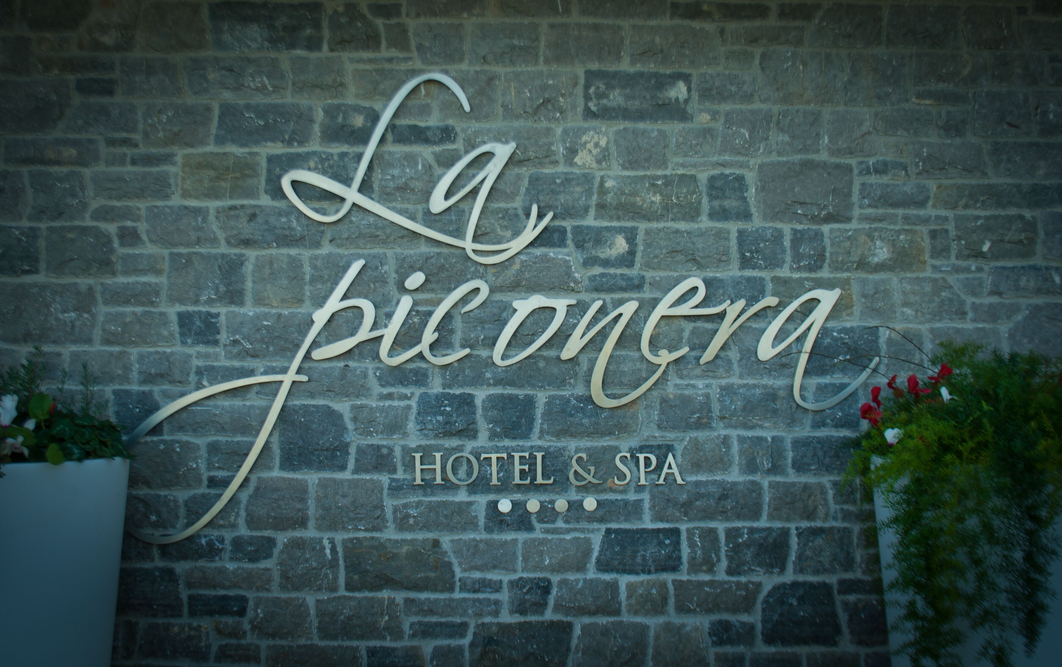 Photo - La Piconera Hotel & Spa