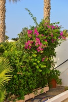 Apartamento superior, 2 quartos, vista para o mar | Vista da sacada