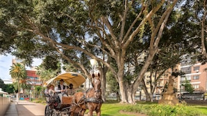 A horse-drawn carriage on a paved path with trees and buildings in the background. - Hotel Blanca Paloma (Las Palmas de Gran Canaria)