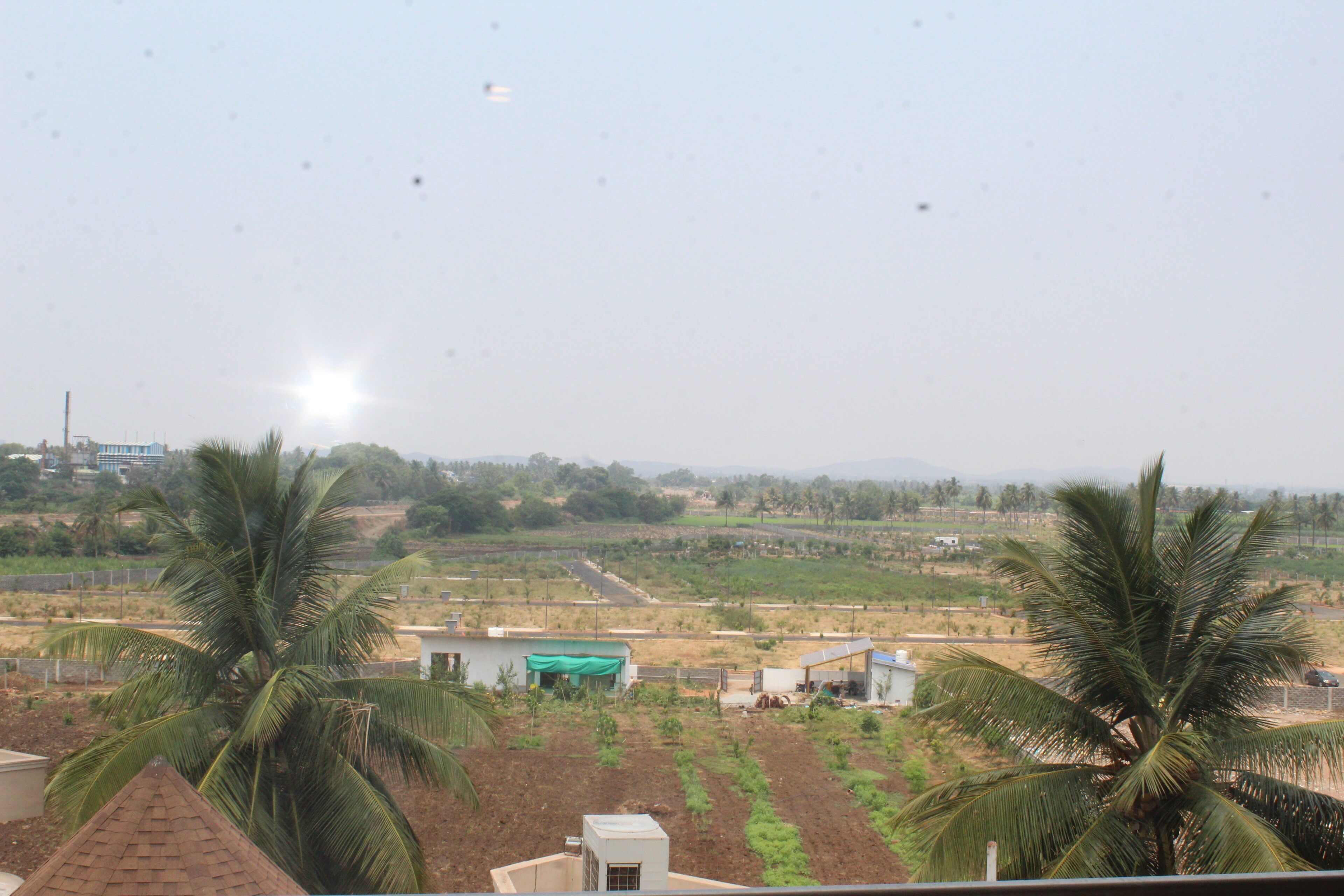A rural landscape with palm trees, a small building, and a distant factory.