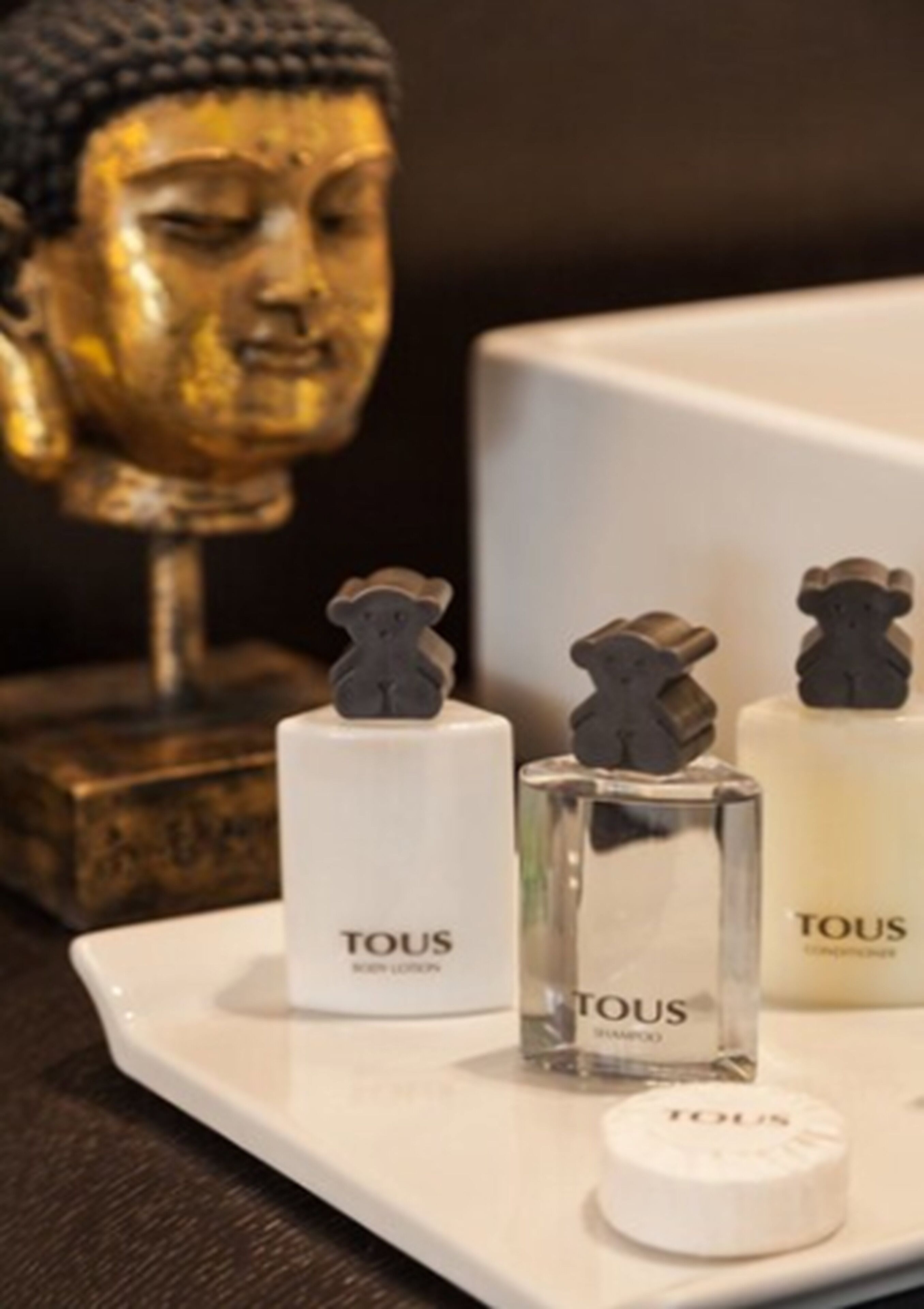 combined shower/bathtub, free toiletries, hair dryer, bathrobes