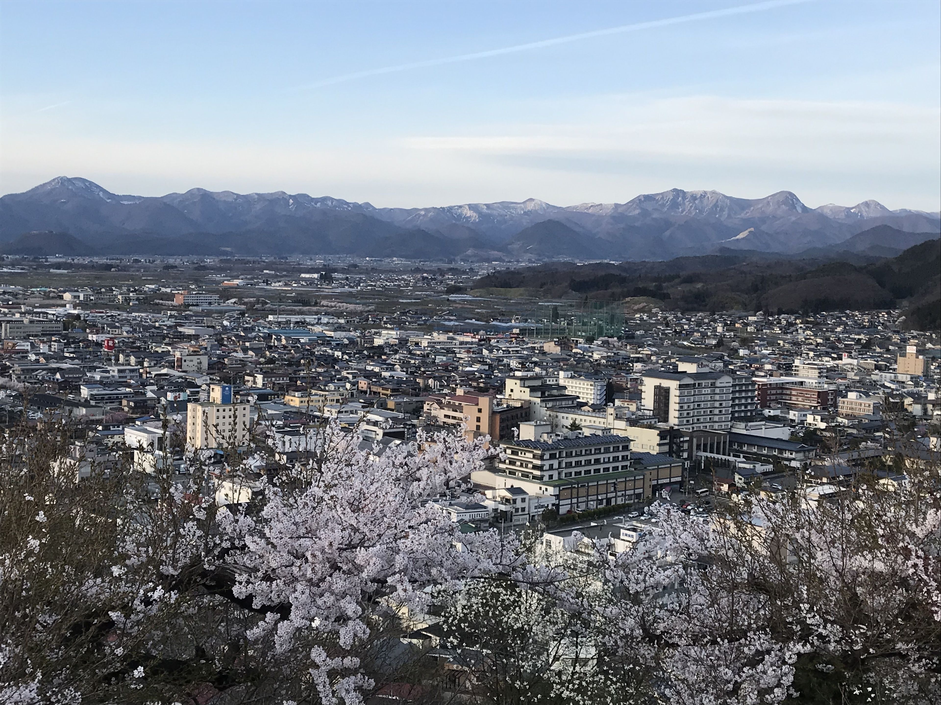 観光スポット