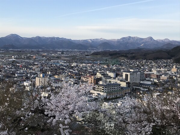 観光スポット