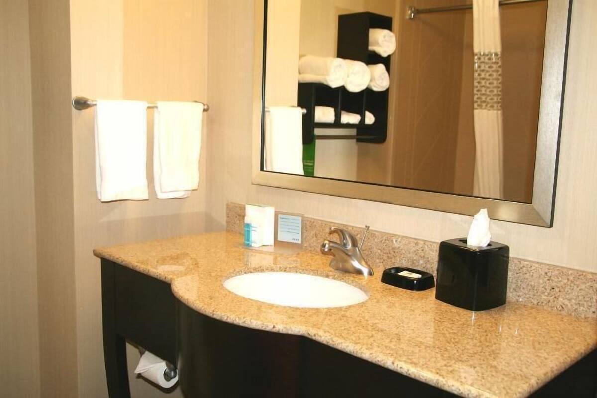 A bathroom with a granite countertop sink, a mirror, a towel rack, and a tissue dispenser.