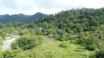 A lush green landscape with dense forest and a winding road.